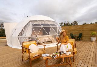 Domescapes in the Vines - Sidmouth - 1