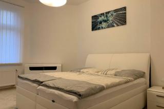 Apartman Centrum 301 - Ústí nad Labem - 6