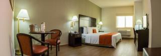 Hotel Plaza Calzada - Monterrey - 9