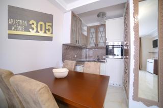 Adonis Apartman 305 - Zlatibor - 8