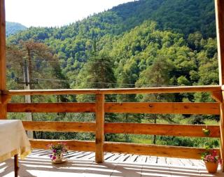 hotel alismereti - 5