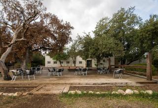 SPNI Alon Tavor Field school - 9