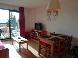 Font-Romeu près des pistes - Appartement 2 pièces très lumineux avec terrasse et vue panoramique - Font-Romeu-Odeillo-Via - 0