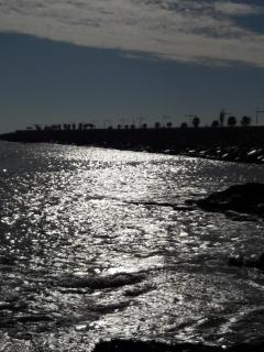 Carolinas aptmt Orihuela - 1