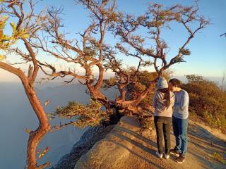 Thalia Homestay & Ijen Bromo Tour - Banyuwangi - 4