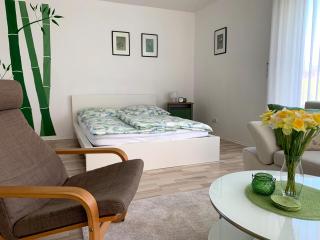 Ferienwohnung Zimmergrün am Nordpark - Mönchengladbach - 5