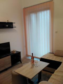 Apartman TiA Vrnjacka Banja - Vrnjačka Banja - 5