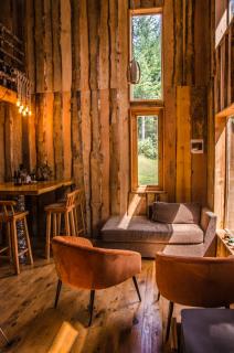 Proyecto COYAM, cabañas lofts, tinas privadas, sendero por el bosque - 3