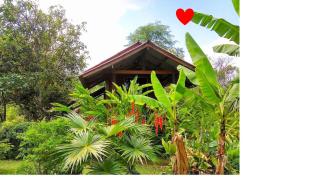 Pencave Homestay - Pang Mapha - 0
