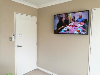 Monique's Rose Room Prvt BthRm AC TV - Auckland - 8