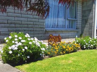 Fantastic Two Bedroom Unit - 2