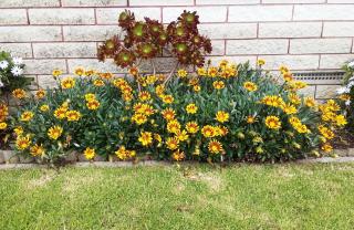 Fantastic Two Bedroom Unit - 1