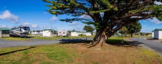 Discovery Parks - Devonport - Devonport - 8