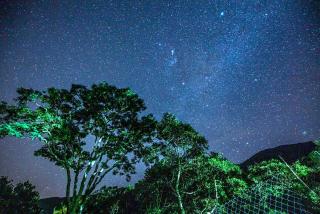 Estalagem Engenho de Serra - Parque Nacional do Itatiaia - Parte Alta - Itamonte - 8