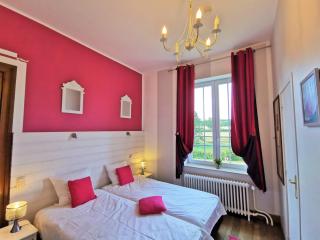 Le Manoir de la Rulette 20P well-ness BBQ Jardin terrasse ping pong salle de jeux - Tintigny - 1