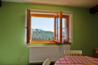 Apartments Pavel - Abertamy - 7