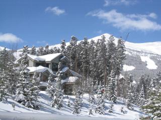 Boulder Ridge Lodge Huge Ski In Home Sleeps 22 - 1