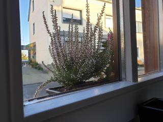Düx-Hof Apartment Fachwerkhaus - Bornheim - 1