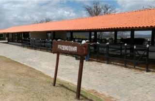 Flat Hotel Fazenda Monte Castelo - Gravatá - Gravatá - 7