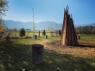 Pensiunea Casa Nostalgia - 1