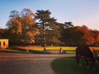 Domaine de Montchevreuil - 8