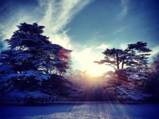 Domaine de Montchevreuil - 5