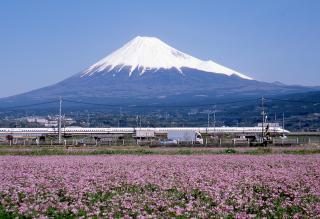 Business Hotel Sunpu - Shizuoka - 6