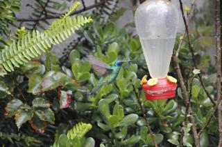 Suites Metropoli - 2