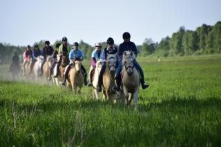 Tihuse Horsefarm B&B - 9