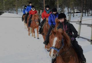 Polar Lights Lodge - Sirkka - 5