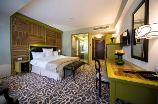 Pleiada Boutique Hotel & Spa - Iaşi - 9