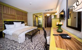 Pleiada Boutique Hotel & Spa - Iaşi - 8