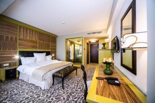 Pleiada Boutique Hotel & Spa - Iaşi - 7