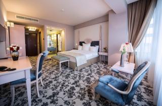 Pleiada Boutique Hotel & Spa - Iaşi - 6