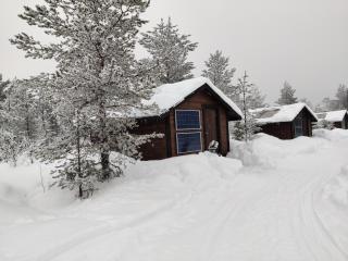 Polar Lights Lodge - Sirkka - 7