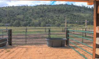 Cougar Canyon - South Fork - 1