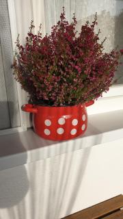 Apartman Jež - free parking, self check in - 4