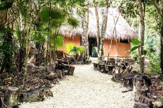 Jolie Jungle Eco Hotel - Puerto Morelos - 9