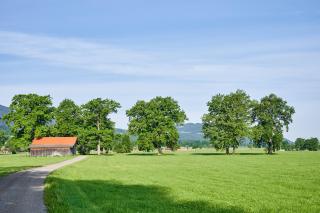 Ferienwohnung Wallner - 6