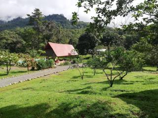 Hacienda Mil Bellezas - Private 40ha Jungle Reserve - Quepos - 9