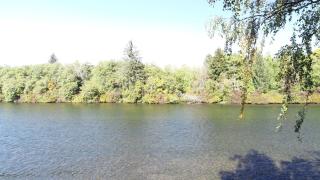 Chateau Riverside - Campbell River - 8