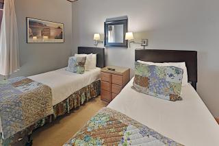 Timberline Condominiums 2 Bedroom Deluxe Unit C2E - Snowmass Village - 7