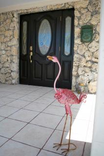 Relax and Unwind in Little Havana - Miami - 2