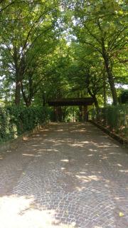B&B Poggio San Luca - Bolonia - 3