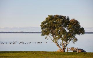Belle Glamping by the Sea - Katikati - 1