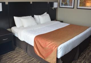 Roosevelt Inn & Suites - Watford City - 4