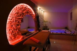 Domaine de l'Angélique - Loft avec SPA privatif - Marais poitevin entre Niort et La Rochelle - Arçais - 7