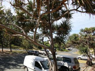 Studio 9 - Point Lookout - 1