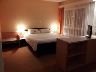 ibis Saint Dizier - 7
