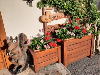 Pension Aberger - Saalbach-Hinterglemm - 1
